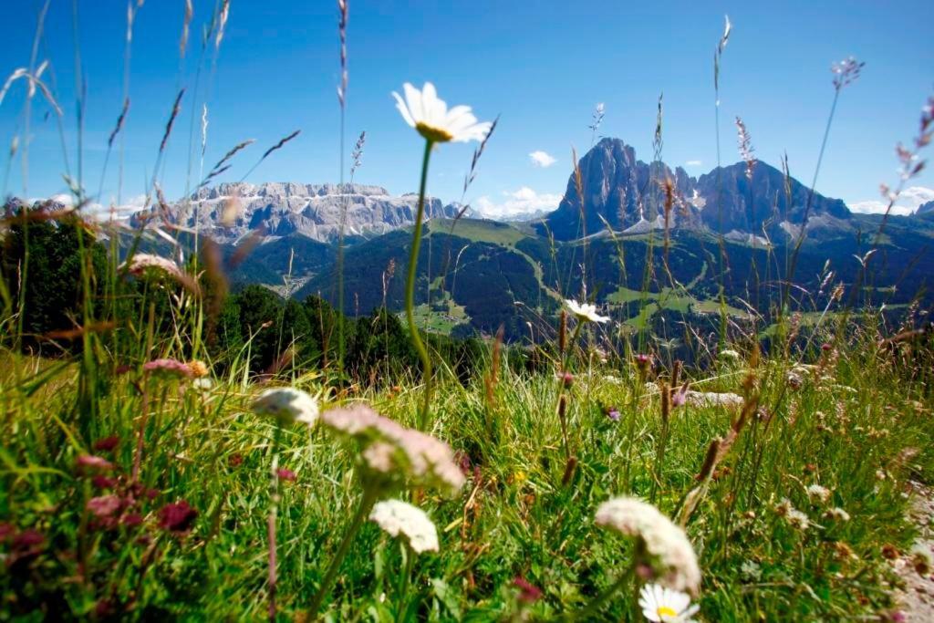 Garni Hotel Bel Vert Selva di Val Gardena Exterior foto